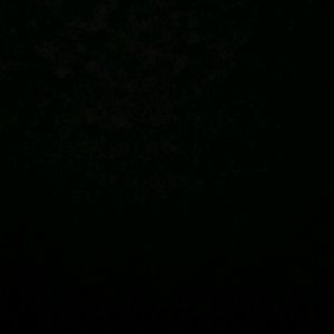 Meet your Posher, Jacqueline